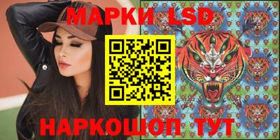 шишки Моздок