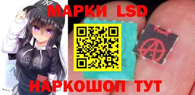 шишки Моздок